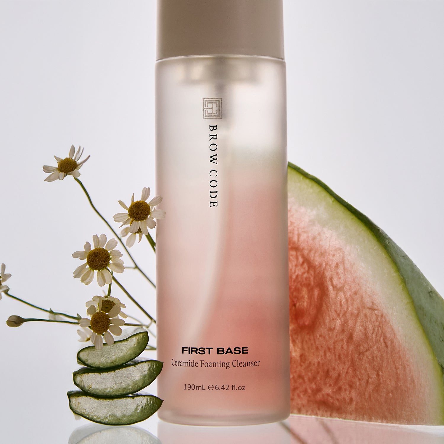 Brow Code First Base Cleanser bottle with chamomile, aloe slices, and a watermelon wedge on a light background